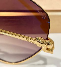 Picture of Cartier Sunglasses _SKUfw54146566fw